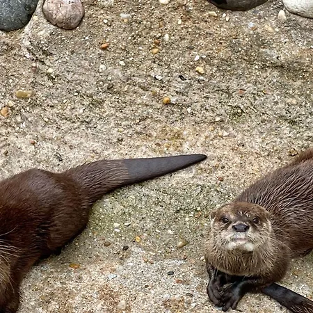 Jf79 Mobile - 2 Bedrooms In Family