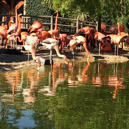 Сasa de vacaciones Jf79 Mobile - 2 Bedrooms In Family