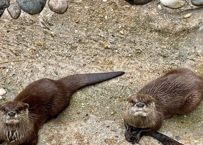 Jf79 Mobile - 2 Bedrooms In Family