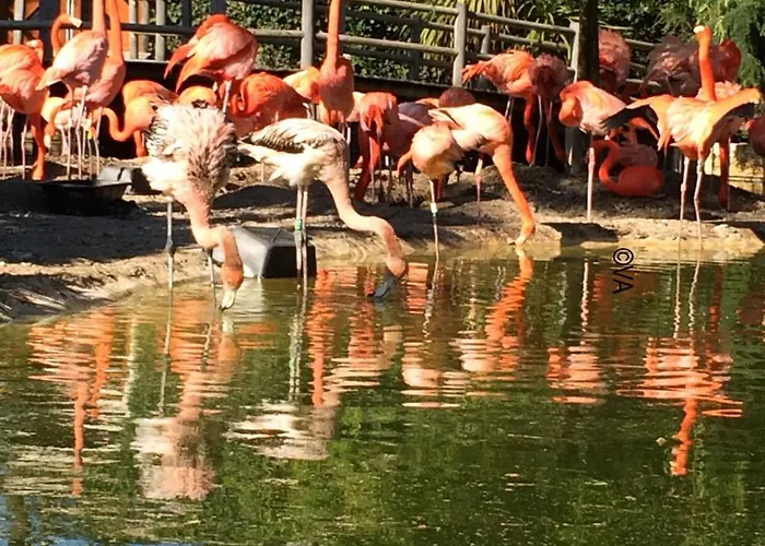 Ferienhaus Jf79 Mobile - 2 Bedrooms In Family